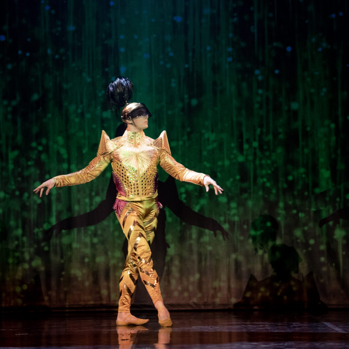 PÄIKESEKUNINGA KÜLLUSESARV HIILGUSES JA VILETSUSES