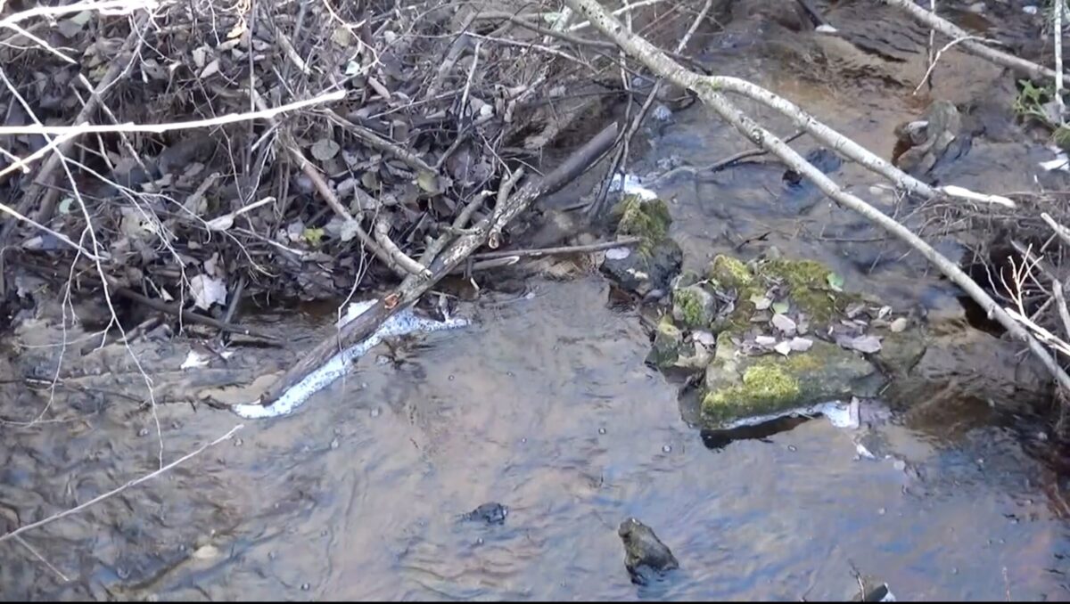 VIDEO. Tõnis Kahu Lauri Lagle lavastusest “Ainult jõed voolavad vabalt”.