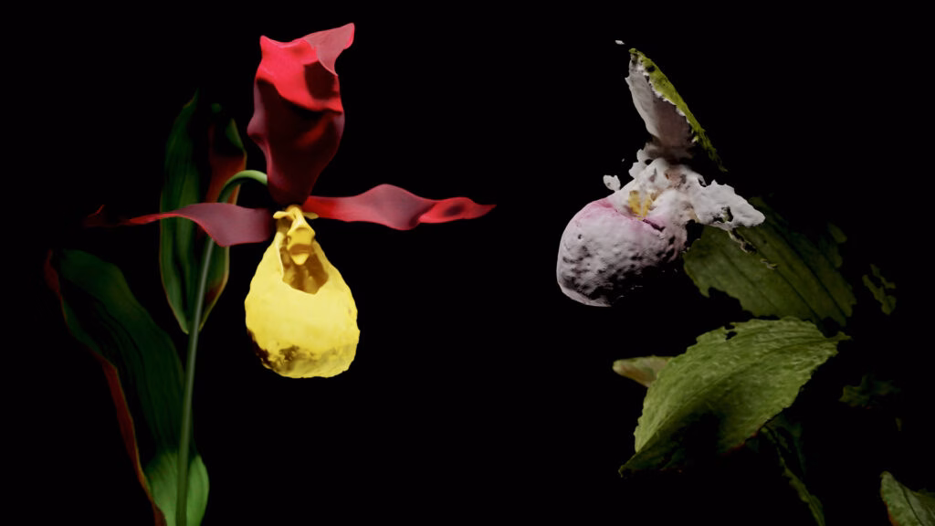 MAASTIKUD JA MEELESEISUNDID