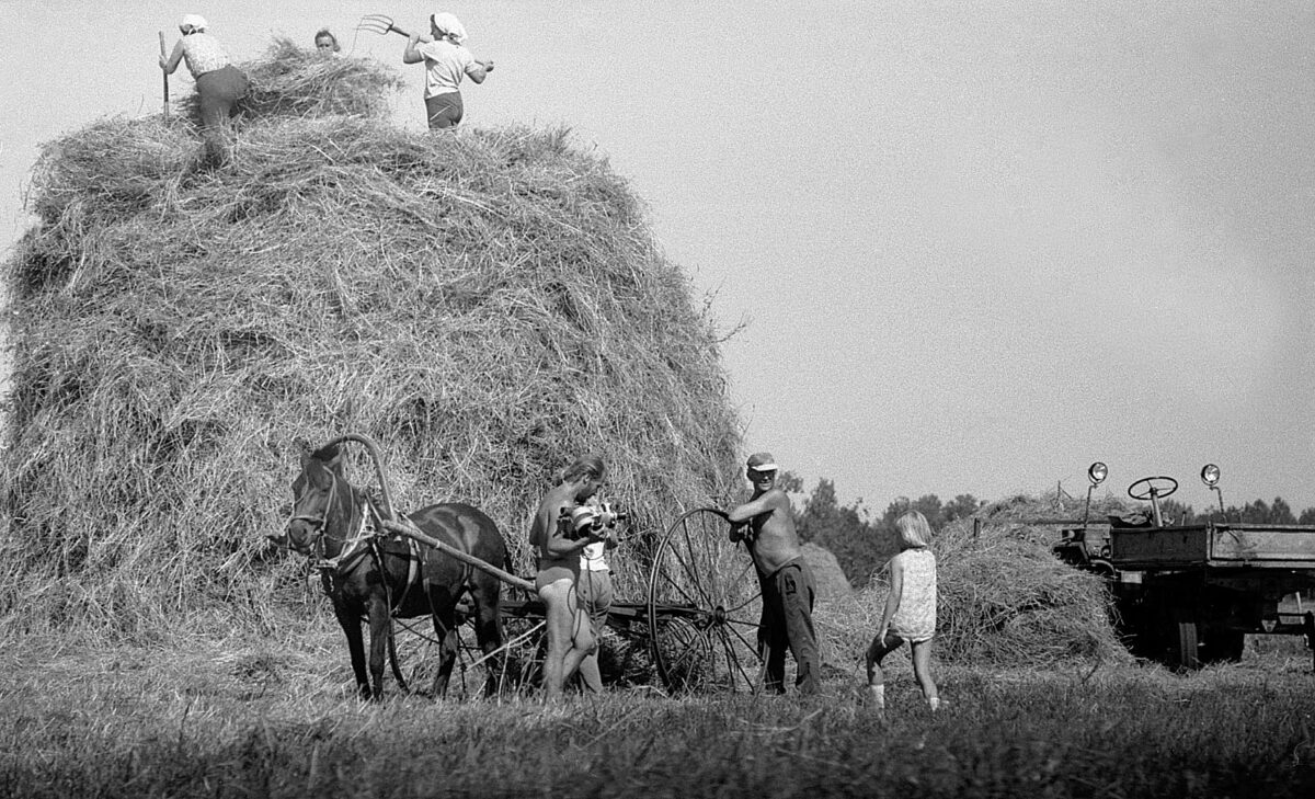 ENN SÄDE FOTOALBUM 38. Heinalised „Kodukülast”