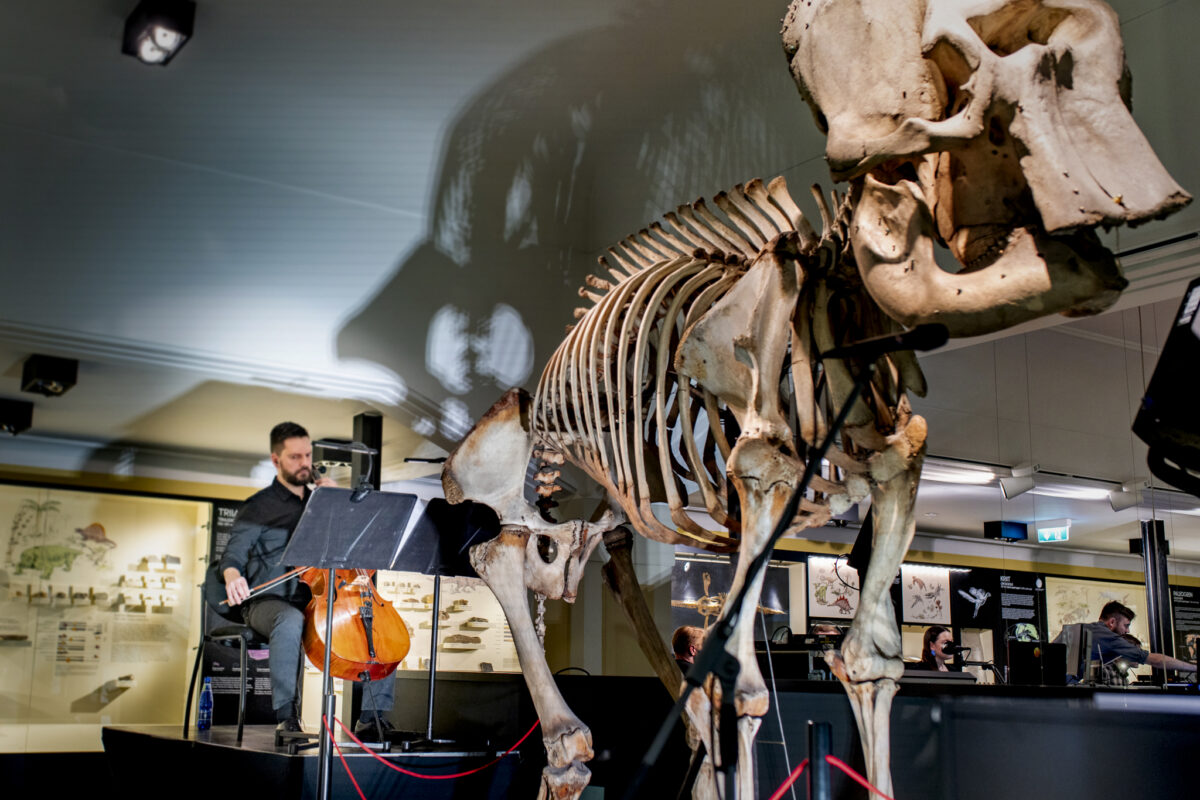 BALTI JA EESTI MUUSIKA PÄEVAD 2024