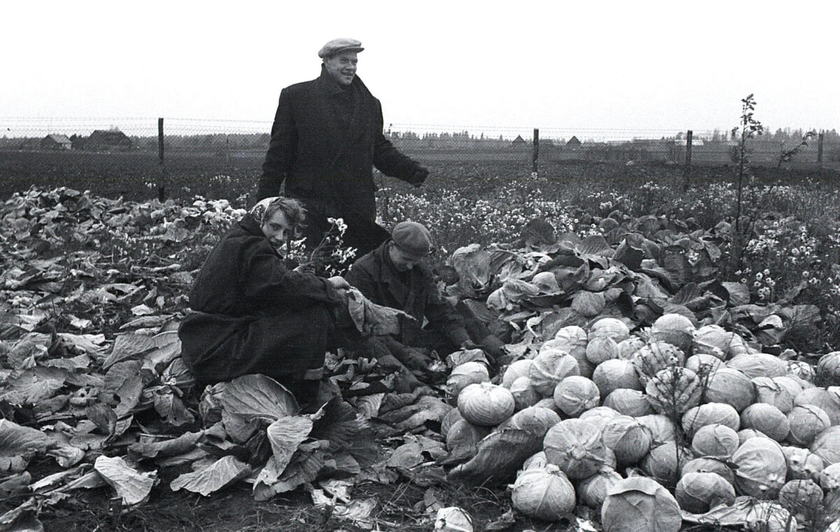 ENN SÄDE FOTOALBUM 49. Sotsialistlikud hädaabitööd